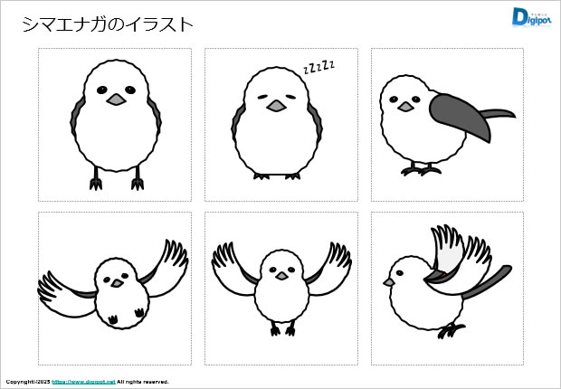 シマエナガのイラスト画像